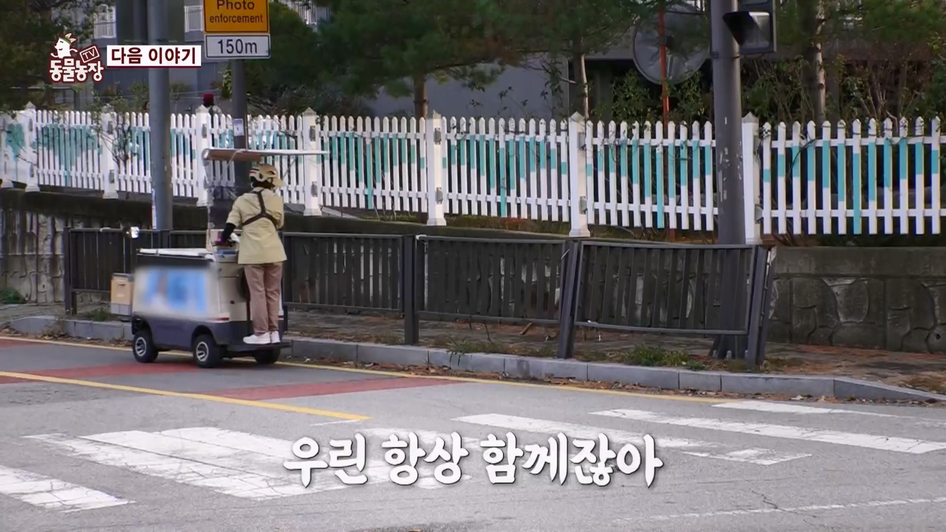 TV 동물농장.E1148.231203p.H264-F1RST.mp4_20231203_165843.459.jpg