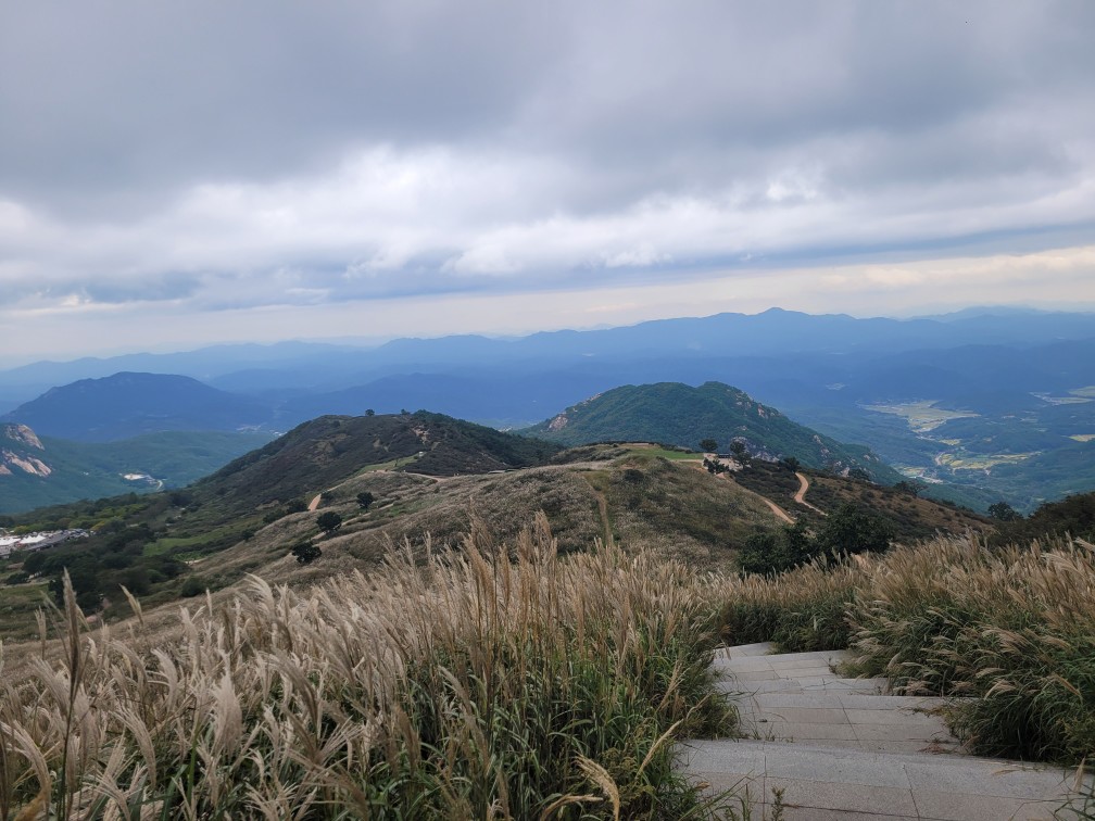 합천 황매산 억새 축제