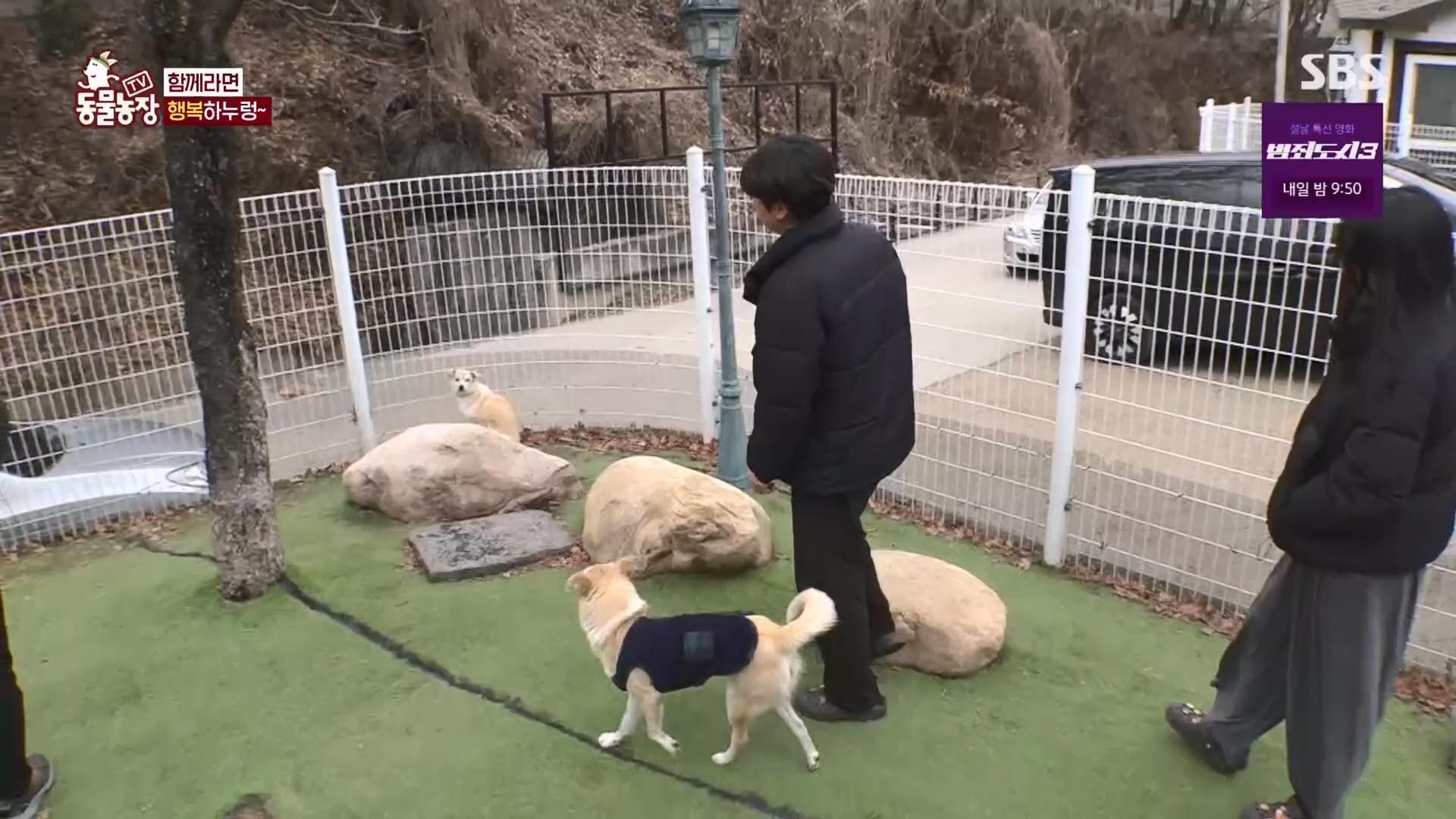 TV 동물농장.E1158.240211p.H264-F1RST.mp4_20240211_194053.796.jpg