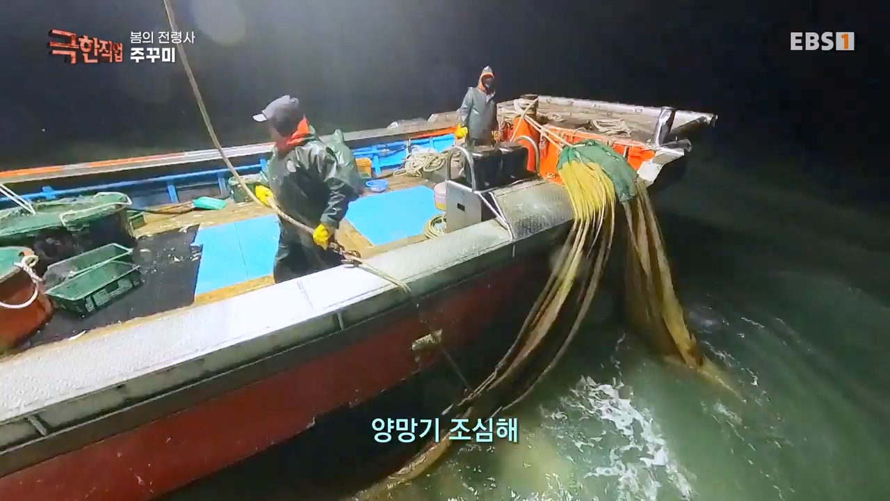 TV - 전 국민의 평생학교 EBS봄의 전령사! 새조개, 미나리, 주꾸미.mp4_20240316_171253.656.jpg