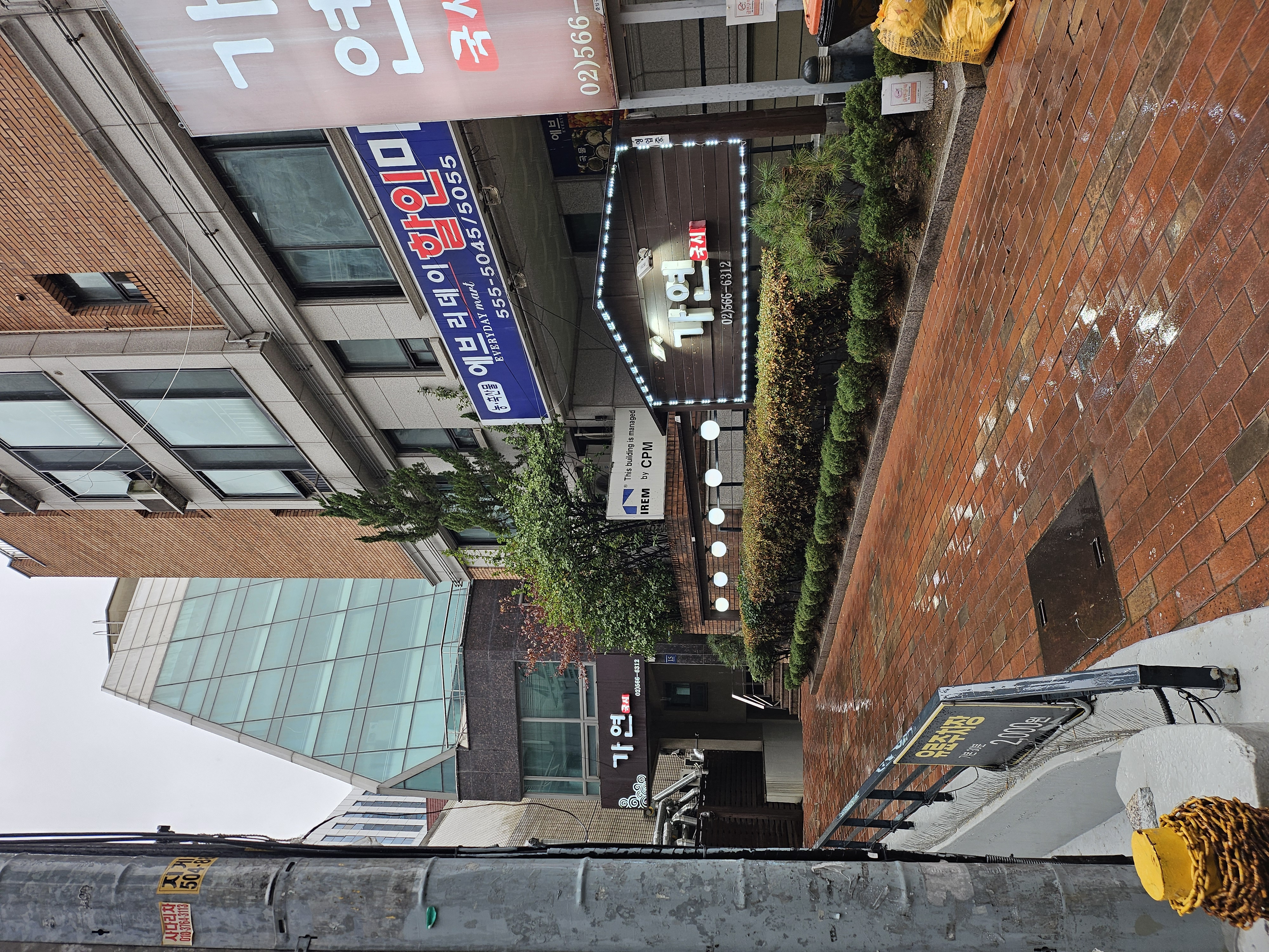 가연국시 사진 5
