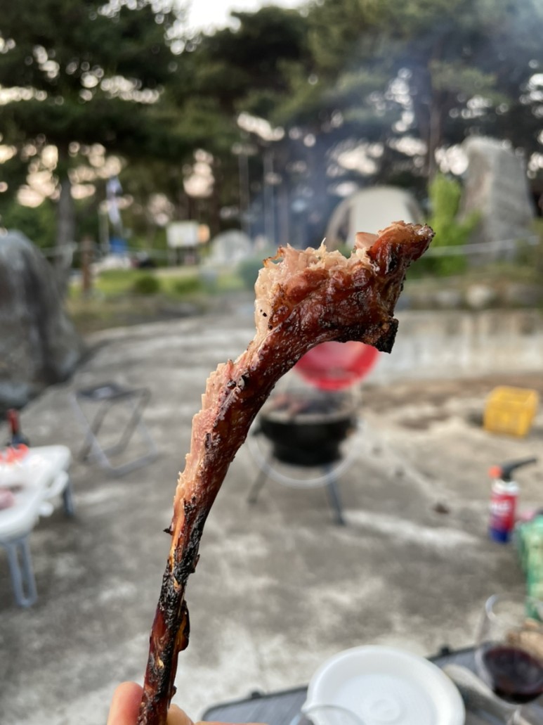 [트립] 대천오토캠핑장_캠핑 후기! #캠핑 #캠핑장 #대천캠핑 19