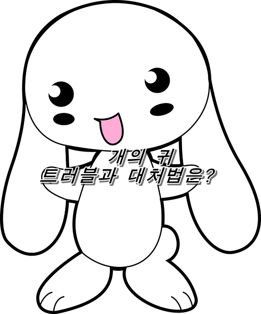  기본적인 개의 귀 트러블과 대처법은 무엇인가?