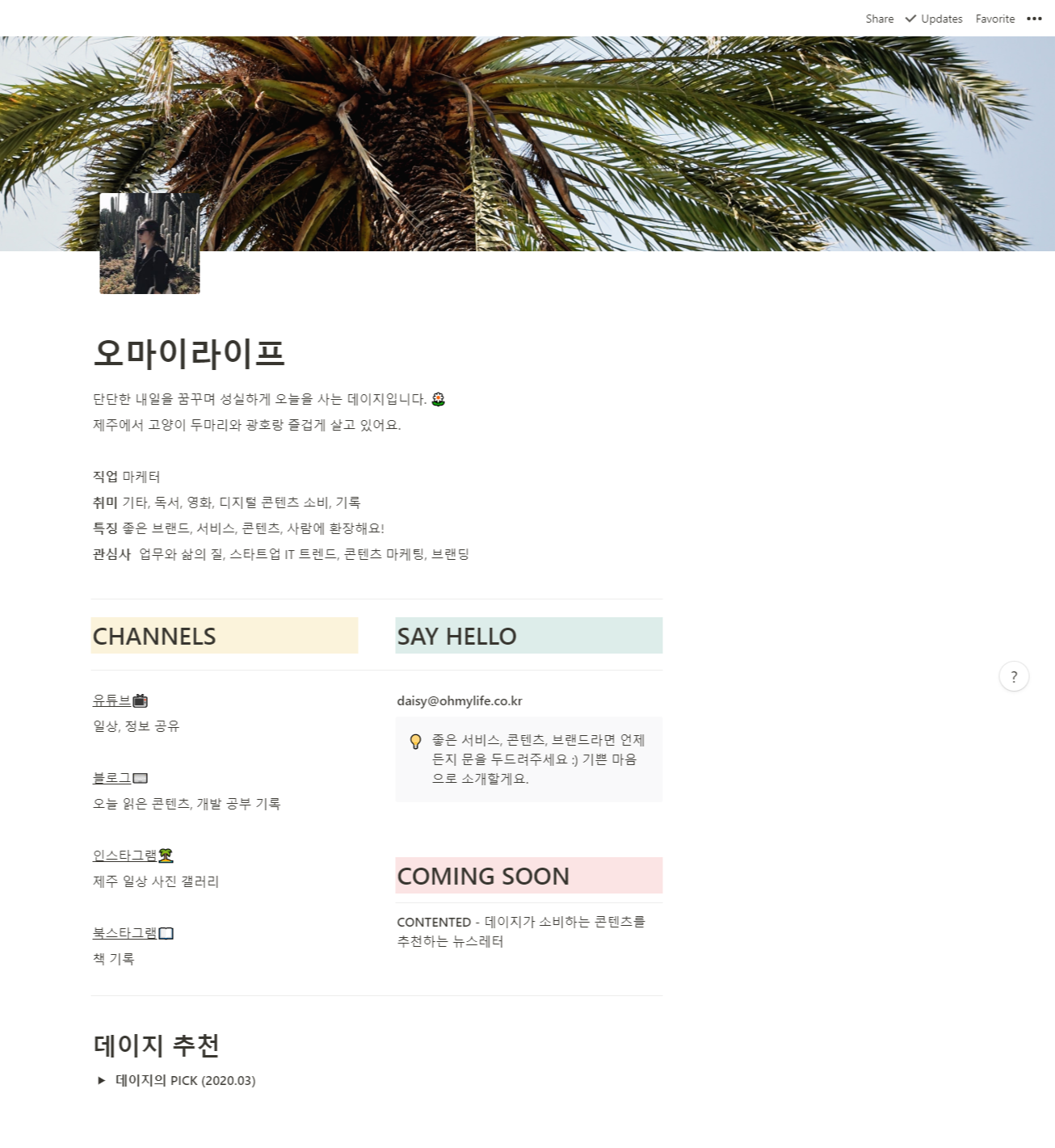  노션 도메인 연결하여 프로필 페이지로 활용하기