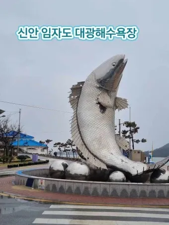 신안 임자도 튤립축제 기간 입장료 가볼만한 곳 총정리_20