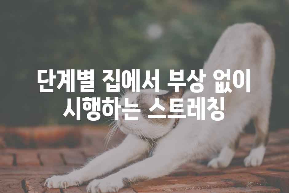 단계별 집에서 부상 없이 시행하는 스트레칭