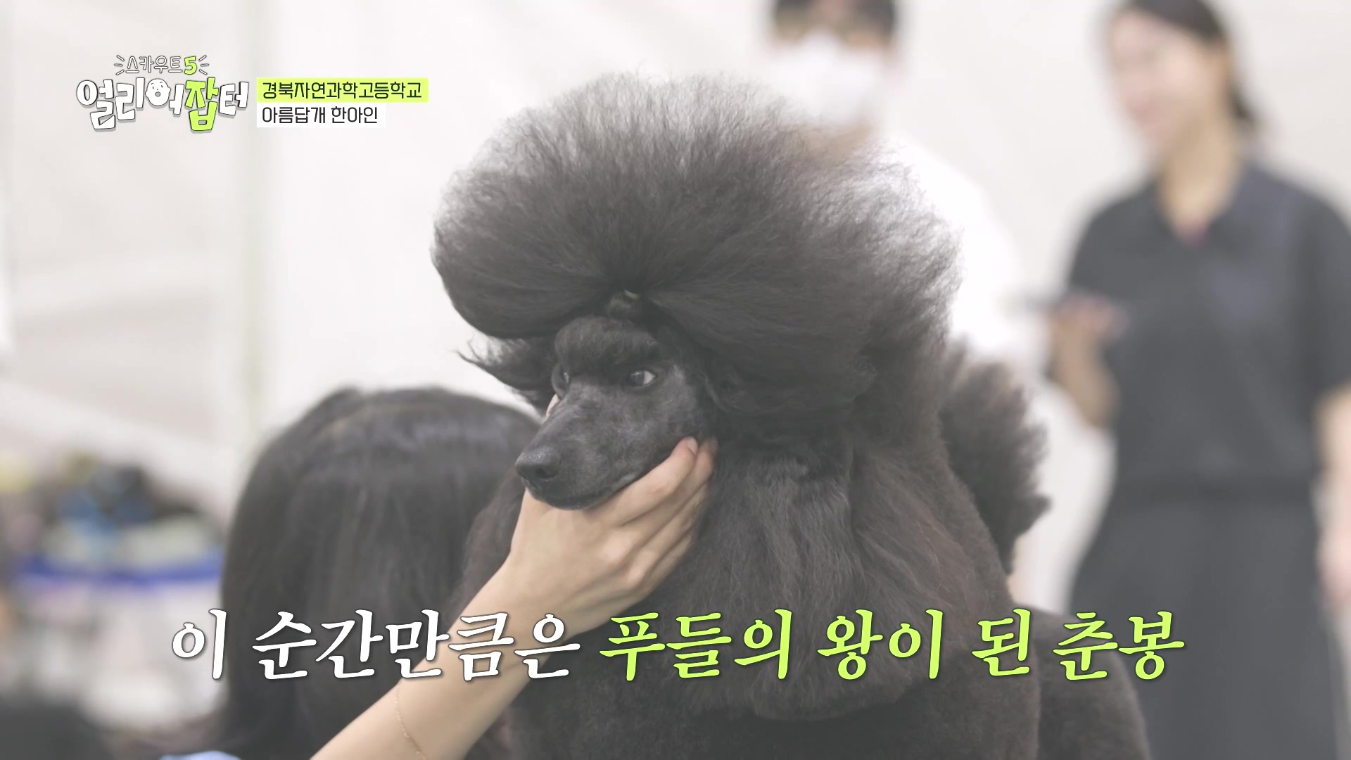 국내 대회 심사위원도 참여한 국제 대회에서 장려상 받은 고등학생 | 인스티즈