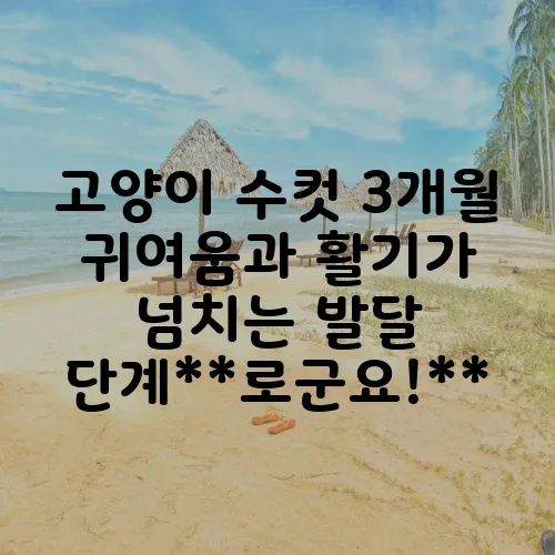 고양이 수컷 3개월 귀여움과 활기가 넘치는 발달 단계**로군요!**