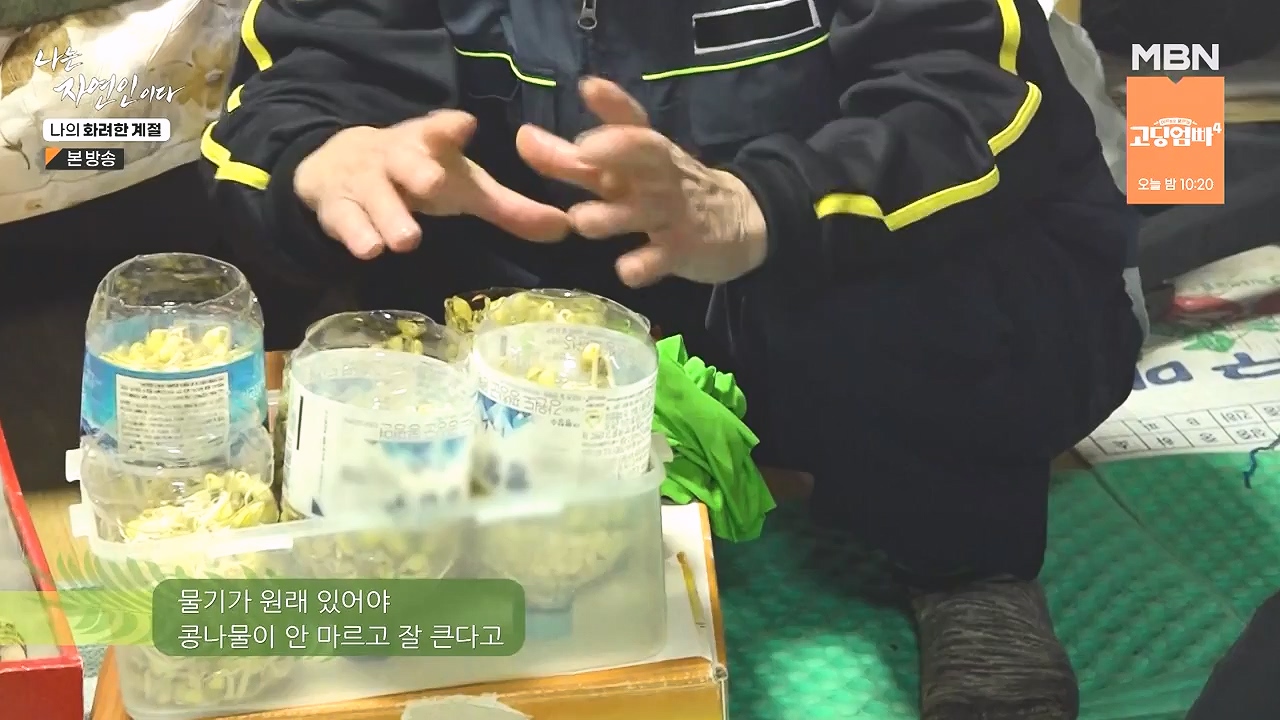 나는 자연인이다.E587.240104p-NEXT.mp4_20240104_195905.395.jpg