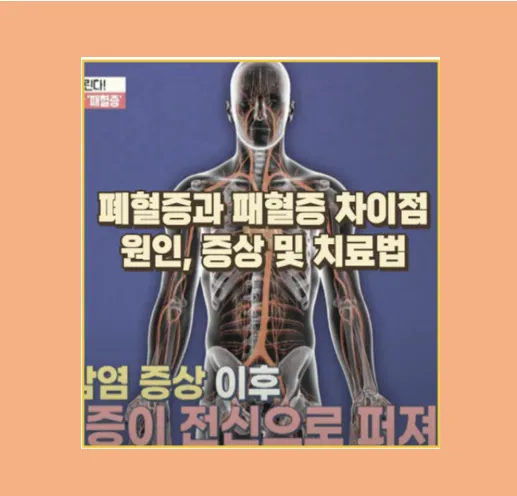 폐혈증과 패혈증 초기 증상부터 예방법까지 경험에서 얻은 생생한 정보