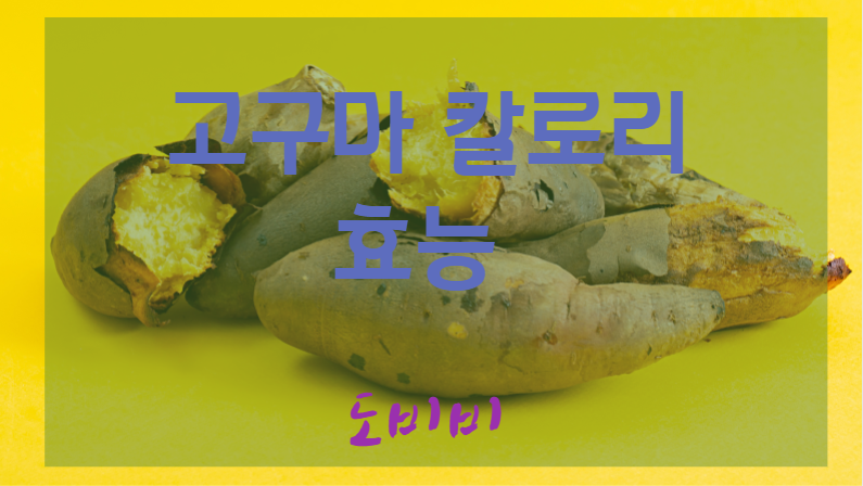  고구마 꽃, 고구마 수확시기, 고구마 칼로리, 고구마 효능