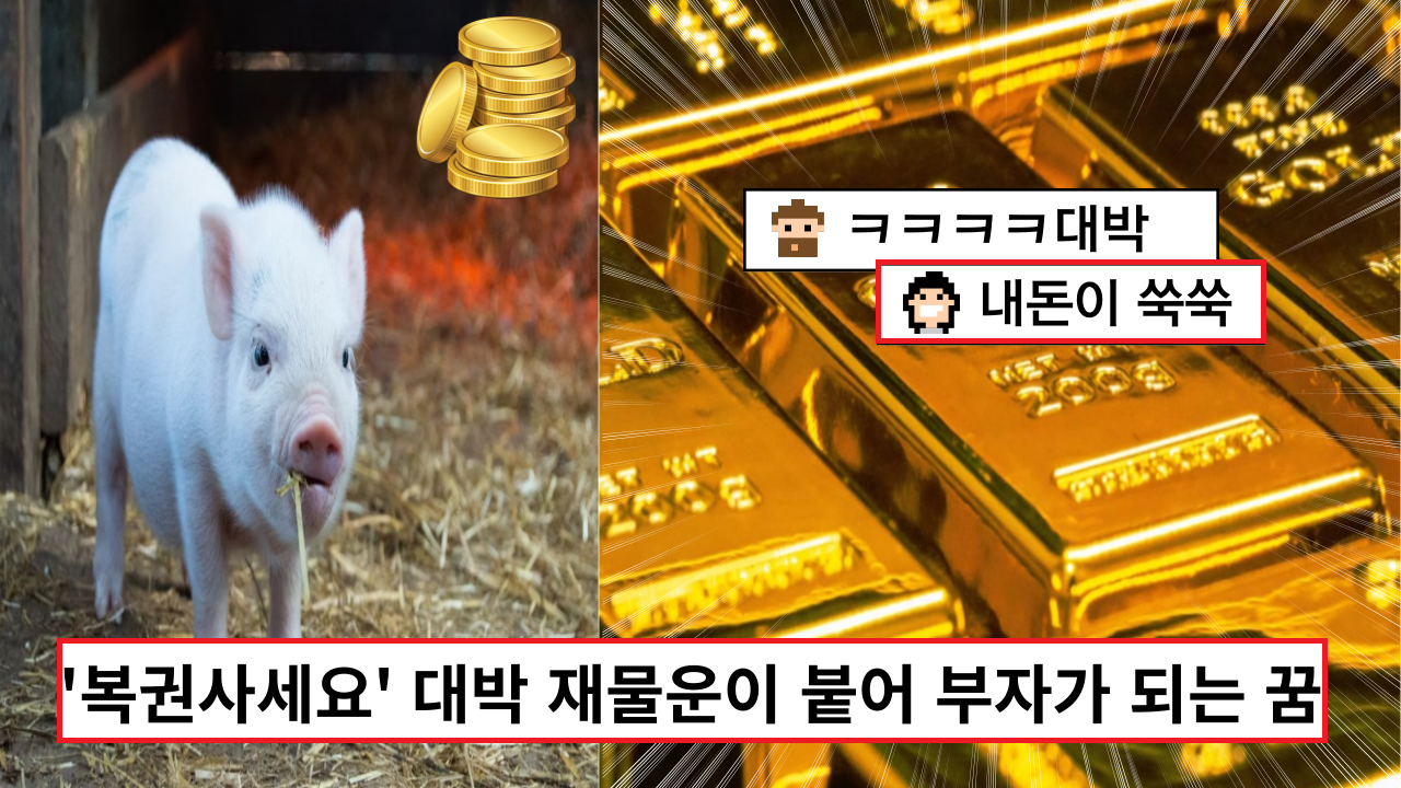  '당장 로또 사세요' 대박 재물운이 붙는 부자가 되는 꿈