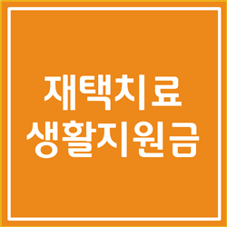  재택치료 생활지원금 대상부터 신청방법까지 총 정리 (2022년 기준)