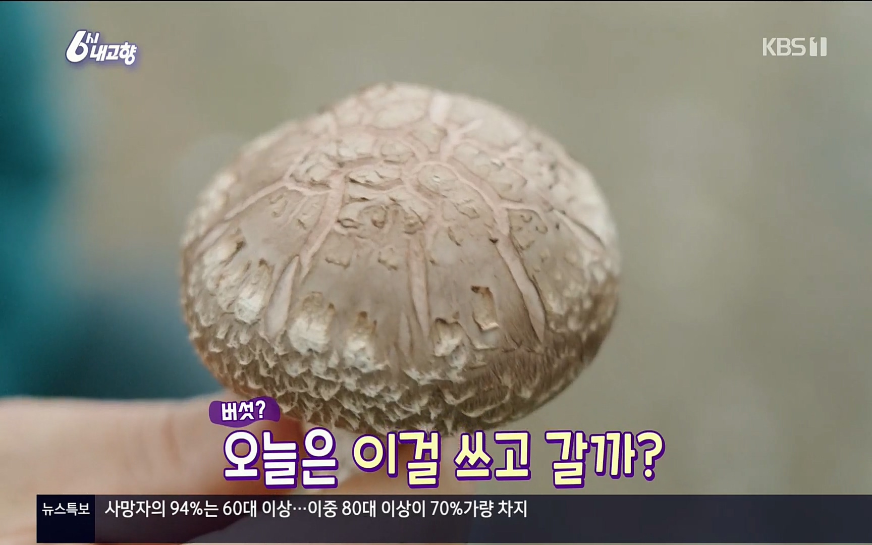 6시 내고향.E7496.220324p.H264-F1RST.mp4_20220328_174400.221.jpg