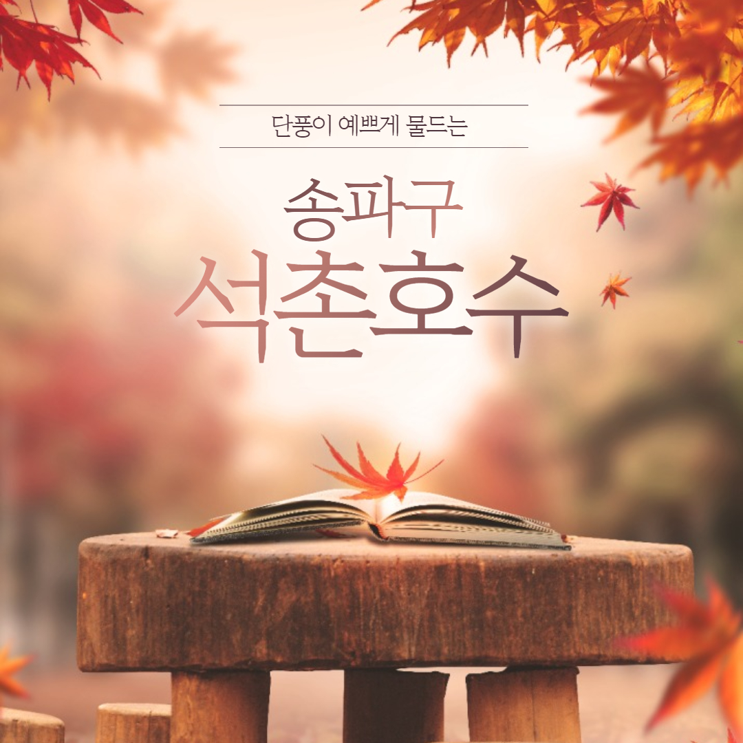  송파구 가볼만한 곳 - 석촌호수 단풍이 예뻐요