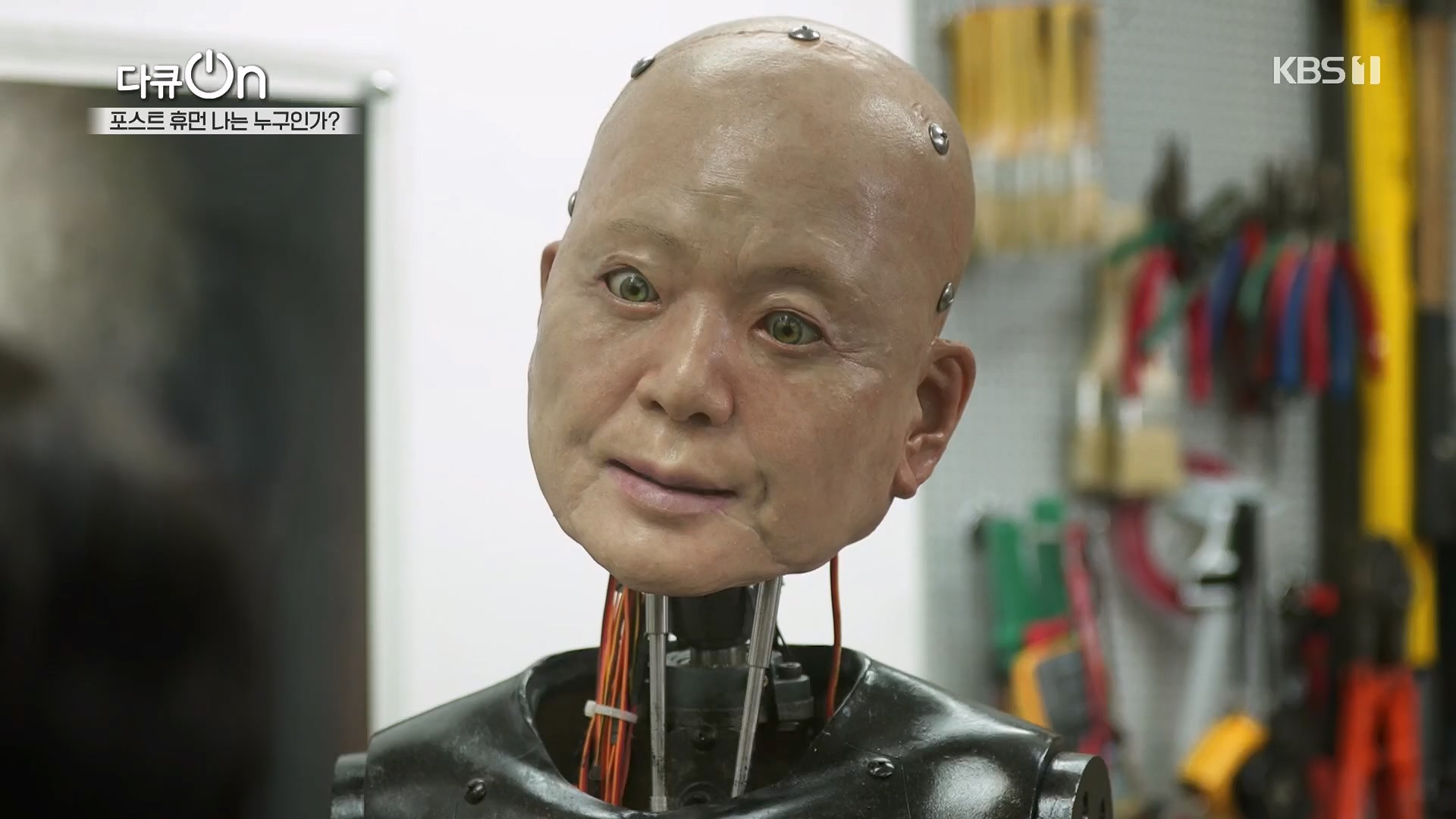 다큐 On.E196.230428p.H264-F1RST.mp4_20230430_175519.534.jpg