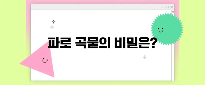 파로 곡물 효능 총정리: 건강을 바꾸는 자연의 선물