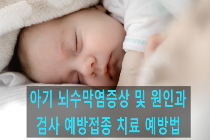 아기뇌수막염증상