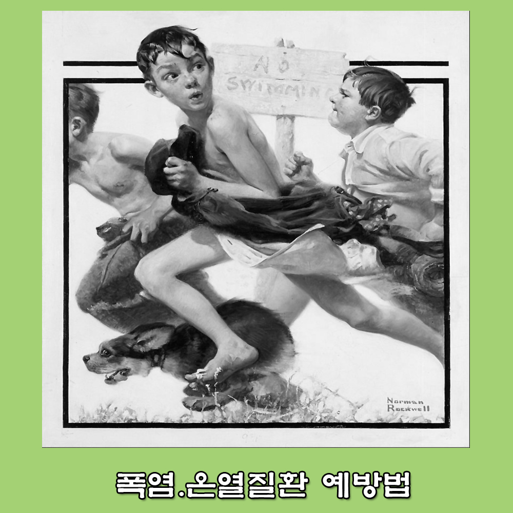  온열질환.일사병.열사병.여름철 건강 관리