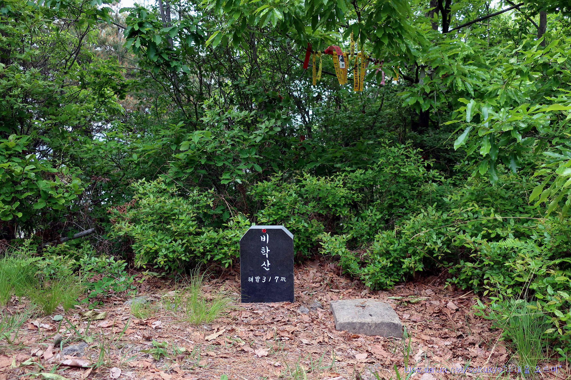 낙화산 정상 이미지