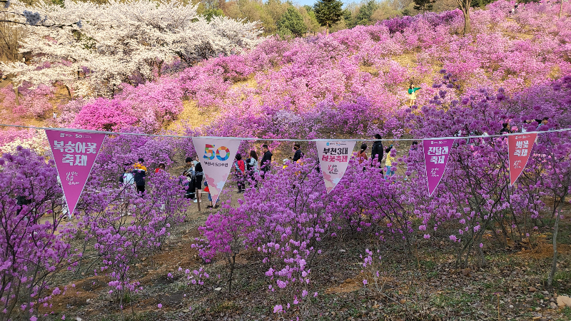 부천 3대봄꽃축제