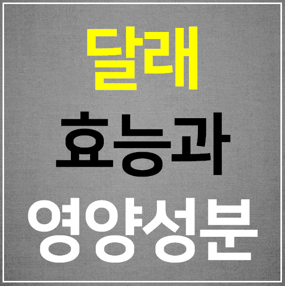  달래의 효능 10가지 (영양성분 부작용)