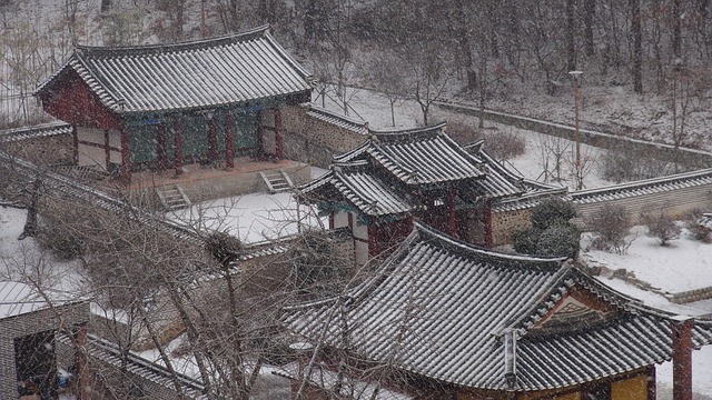 신의왕후, 조선 1대 왕 태조의 첫 번째 왕비, 생애와 업적, 정치적 영향