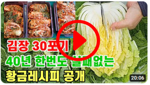 김장 30포기 40년 황금레시피 공개