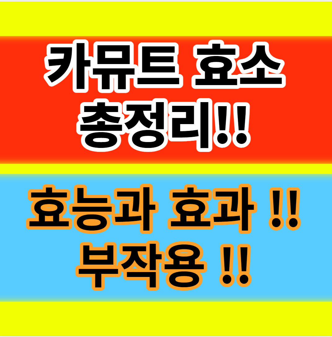  카뮤트 카무트효소 효능 효과 및 부작용 가격과 분말 먹는법
