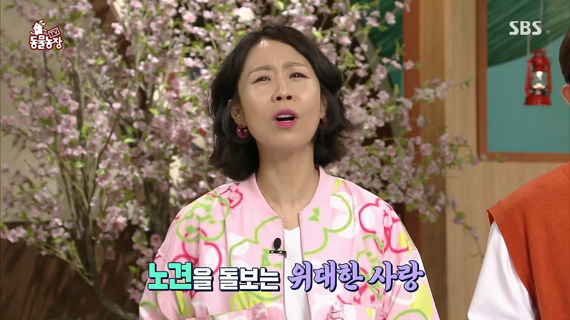 TV 동물농장.E1115.230409p.H264-F1RST.mp4_20230409_173059.383.jpg