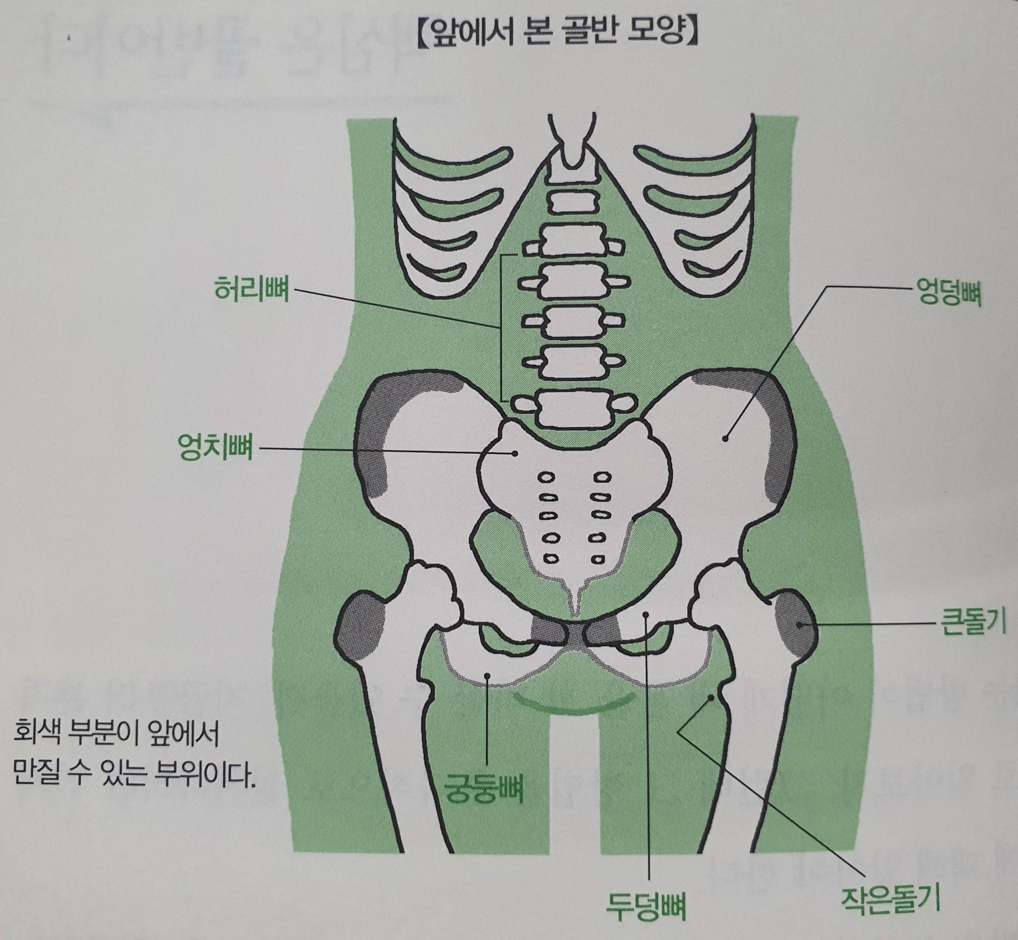 똑바로 바르게 앉는 자세 및 방법 총정리(feat. 허리 통증&amp;#44; 어깨결림&amp;#44; 골반 통증)