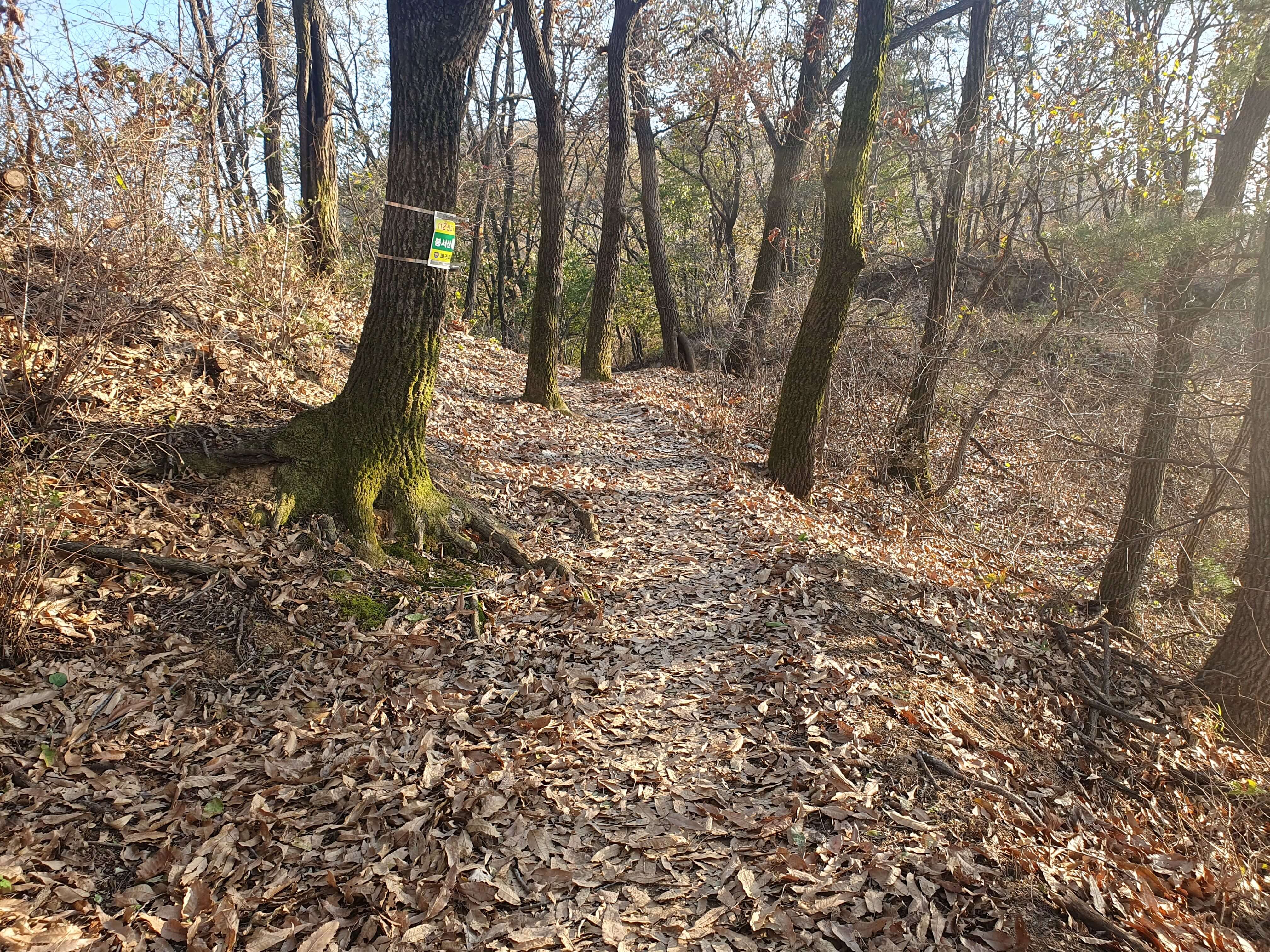 봉서산 등산로