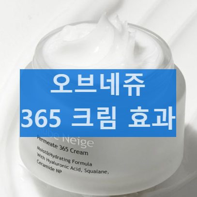 오브네쥬 퍼미에잇 365크림 제품 성분 및 효과 부작용 내돈내산 후기