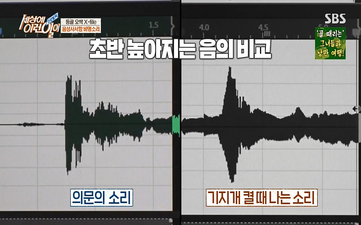 순간포착 세상에 이런일이.E1178.220504p-NEXT.mp4_20220504_180735.511.jpg