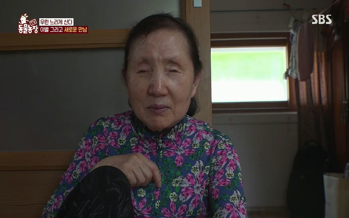 TV 동물농장.E1076.220704p.H264-F1RST.mp4_20220703_175612.448.jpg
