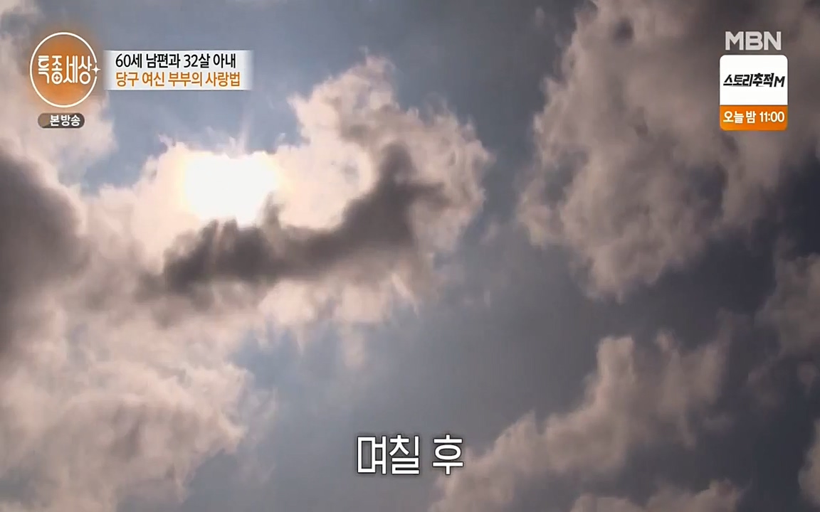 현장르포 특종세상.E528.220429p-NEXT.mp4_20220429_185243.412.jpg