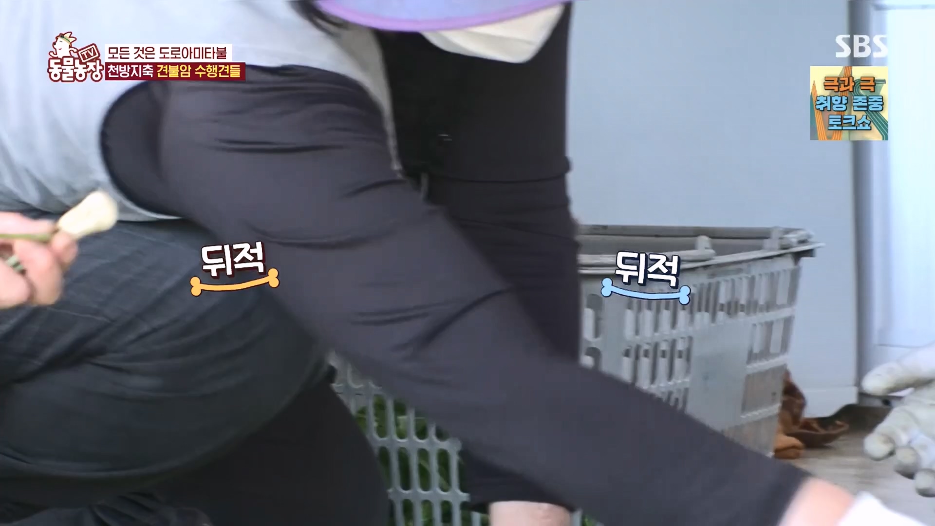 TV 동물농장.E1149.231210p.H264-F1RST.mp4_20231210_171053.582.jpg