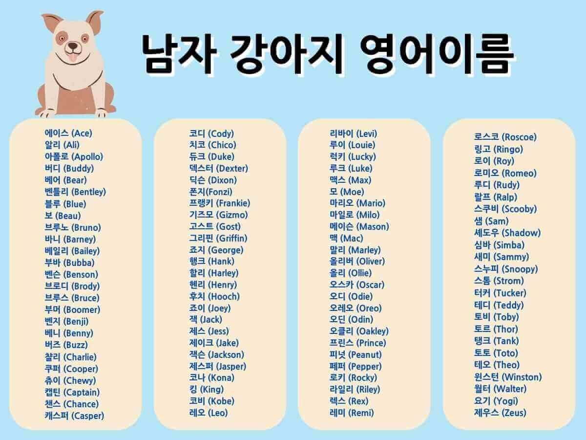 흔하지 않은 남자 영어이름: 예쁜 소리와 의미로 빛나는 이름들 흔하지 않은 남자 영어이름: 예쁜 소리와 의미로 빛나는 이름들