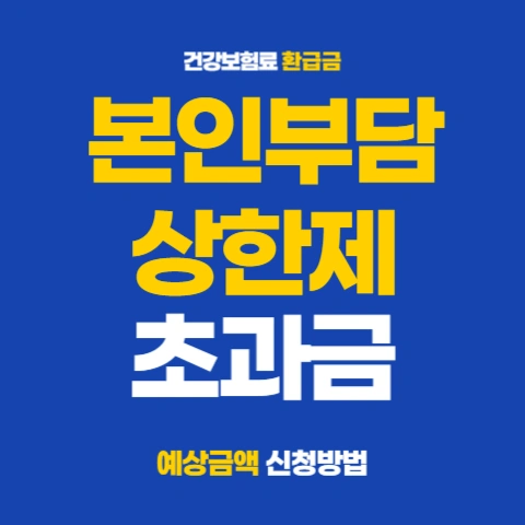 건보료-본인부담상한제-초과금-1인당-평균-136만원-환급-신청방법