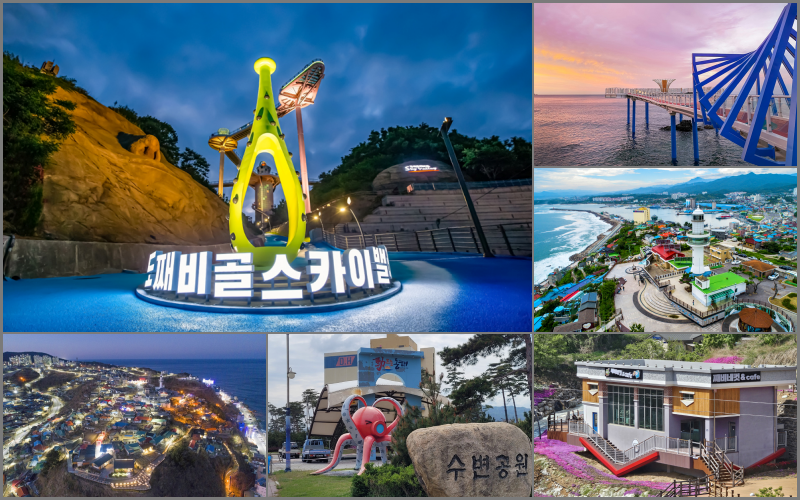 동해시티투어버스
