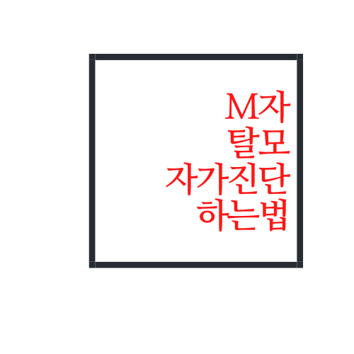 M자 탈모 자가진단