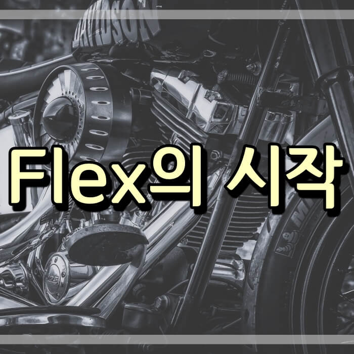  플렉스(PLEX) 뜻과 정의 ( 우리나라에서 달라진 의미 )