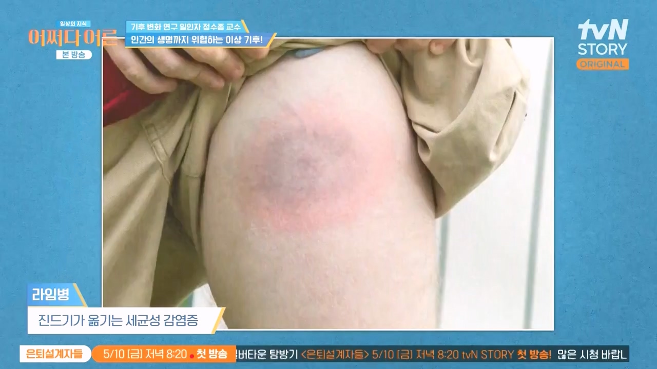 어쩌다 어른.E55.240508p-NEXT.mp4_20240508_205349.379.jpg