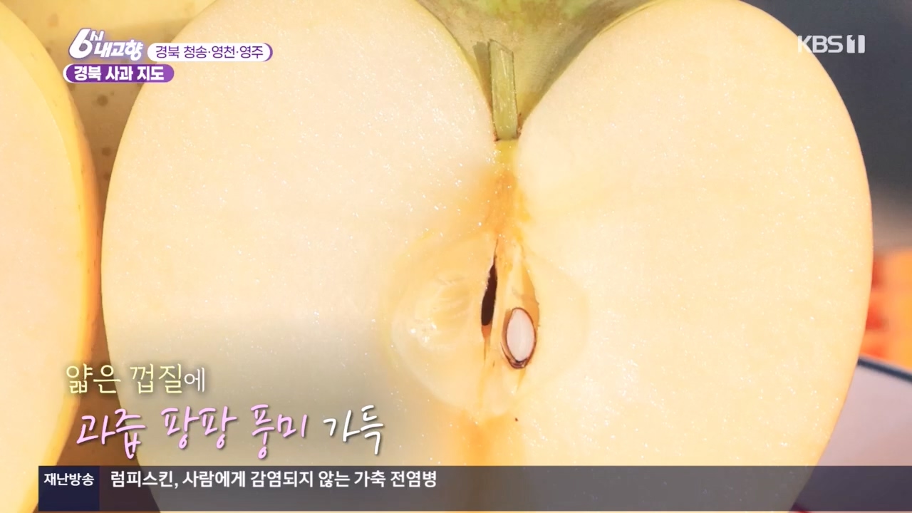 6시 내고향.E7907.231108p.H264-F1RST.mp4_20231108_204728.291.jpg