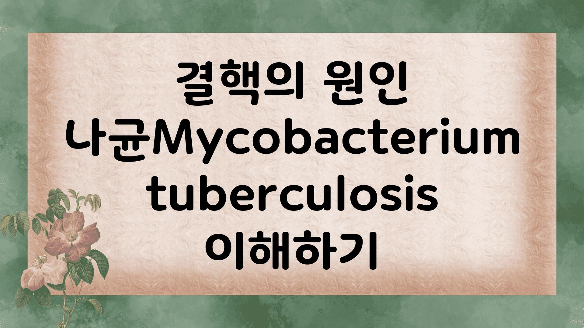 결핵의 원인 나균Mycobacterium tuberculosis 이해하기