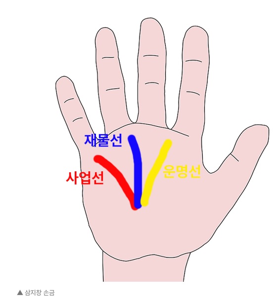 손금 재물선, 사업선, 운명선