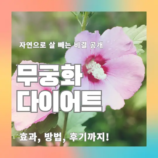 무궁화 다이어트