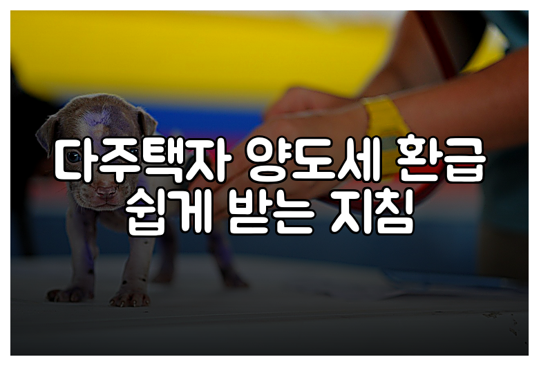 다주택자 양도세 환급 쉽게 받는 지침
