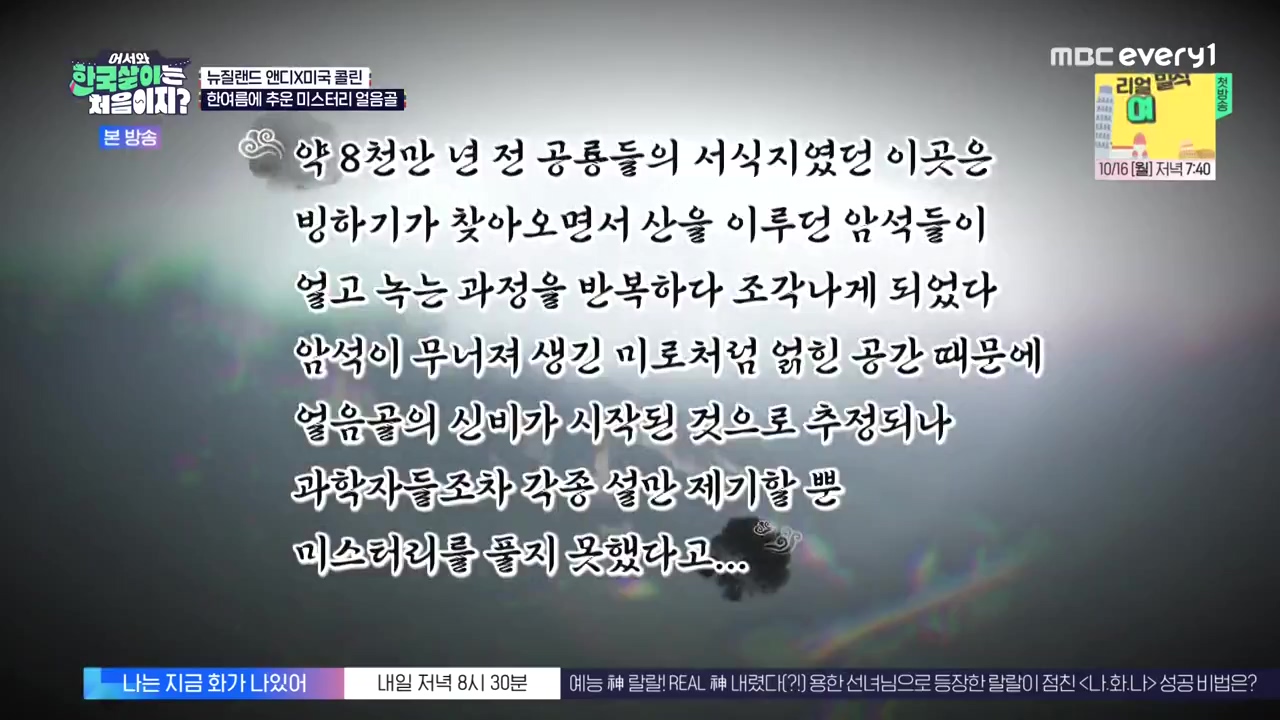 어서와 한국살이는 처음이지.E20.231003p-NEXT.mp4_20231004_200618.649.jpg