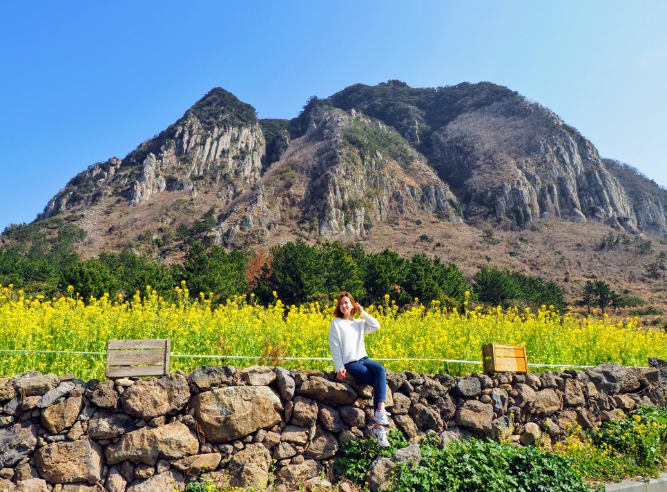 오늘 24도 가볍게 입으세요 2월 제주도 날씨 12